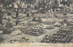 83-Cavaillon-marche-melon-1914