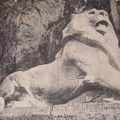 90-BELFORT-lion